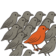 Branding Illustration